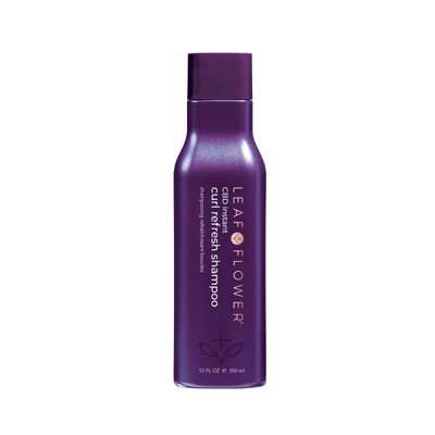 Curl Refresh Shampoo